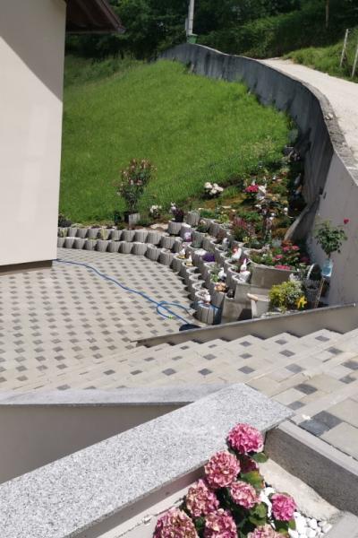 Img 20240614 131736