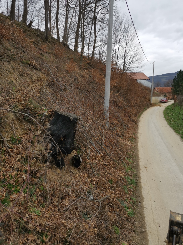 img-20240314-115039